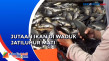 Jutaan Ikan di Waduk...