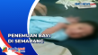 Warga Semarang Geger,...
