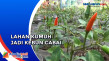 Kampung Cengek di Cimahi,...
