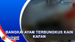 Warga Probolinggo Geger...