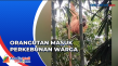 Hindari Konflik dengan...