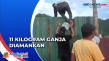 Terobos Pagar Seng,...
