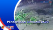 Bikin Geger, Beruang...