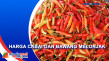 Harga Cabai dan Bawang...