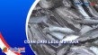 Cuan dari Budi Daya...