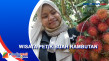 Wisata Kampung Rambutan,...