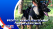 Proteo, Anjing Heroik...