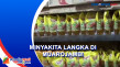 Minyakita Hilang di...