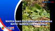 Warga Nias Digegerkan...