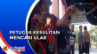 Ular Masuk Kap, Petugas...