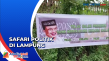 Safari Politik Anies...