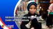 Relawan Selamatkan Kucing...