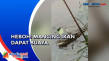 Macing di Sungai, Warga...
