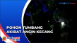 Pohon Tumbang Timpa...