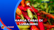 Harga Cabai di Lumajang...