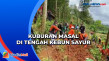 Kagetnya Petani Sayur...