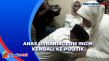 Pulang ke Rumah Orangtua,...