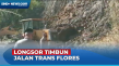 Jalan Trans Flores Tertimbun...