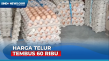 Harga Telur Ayam di...