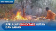 Kebakaran Hutan dan...