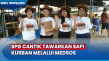 Tawarkan Sapi Kurban,...
