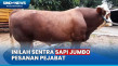 Mengintip Sentra Sapi...