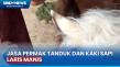 Jelang Hari Raya Kurban,...