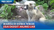 Kronologi Warga di Gowa...