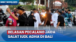 Wujud Toleransi, Belasan...