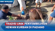 Unik, Sapi Kurban di...