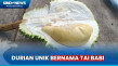 Menyantap Durian Unik...