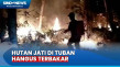 Diduga Sengaja Dibakar,...