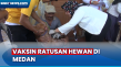 Vaksin Gratis Ratusan...