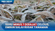 Suhu Minus 7 Derajat...