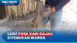 Warga Temukan Fosil...