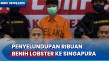 Penyelundupan Benih...
