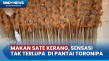 Sensasi Tak Terlupa,...
