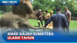 Banjir Buah untuk Rawana,...
