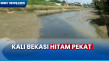 Viral Kali Hitam Pekat,...