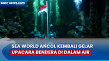 Sea World Ancol Kembali...