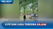 Petani Sawit di Lampung...