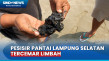 Pesisir Pantai Lampung...