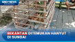 Bekantan Ditemukan Hanyut...