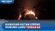 Kebakaran Landa Hutan...