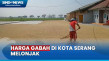 Dampak Kemarau, Harga...