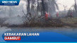 Kebakaran Lahan Gambut...