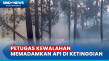 Hutan Gunung Arjuno...