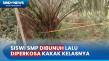 Pilu, Siswi SMP di Riau...