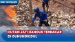 Hutan Jati Terbakar...