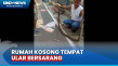 Heboh! Warga Tangkap...